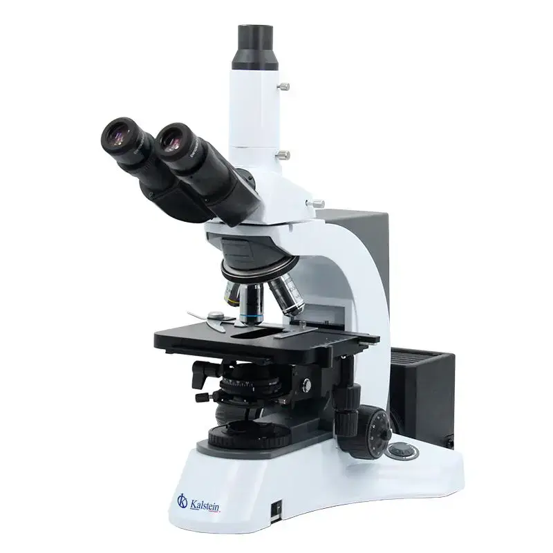 Glosario técnico y terminología clave del microscopio trinocular YR0231