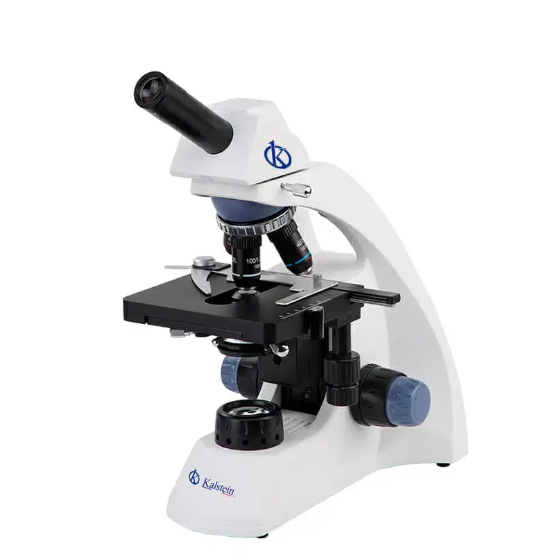 Microscopio binocular YR0242-T
