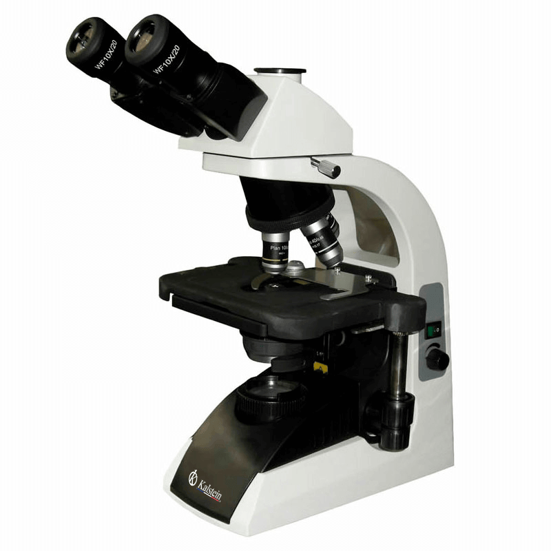 Microscopio binocular YR0244