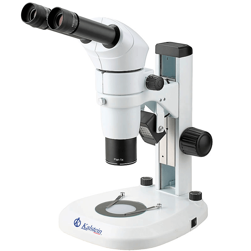 Glosario técnico y terminología clave del microscopio binocular YR0248