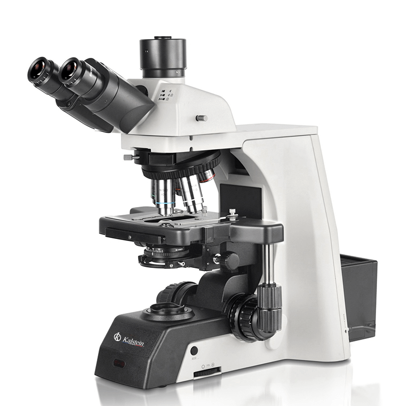 Microscopio Trinocular YR0266B: Innovación y Eficiencia en Laboratorios