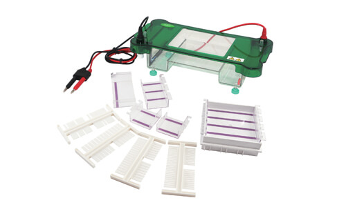 Retorno de Inversión con Electroforesis Horizontal YR03417