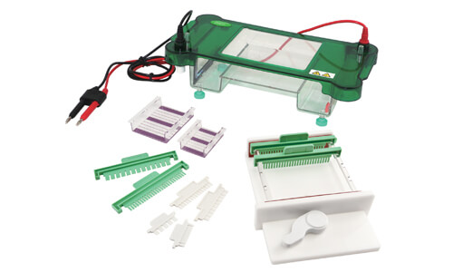 Personalización y accesorios del modelo YR03419: optimización de la electroforesis horizontal