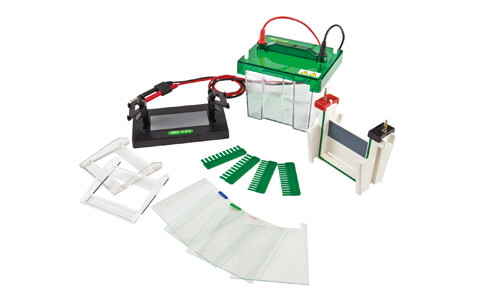Normativas ISO/IEC y Cumplimiento Regulatorio en Laboratorio: Electroforesis Vertical 2026
