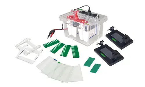 Requisitos de instalación y condiciones ambientales para la celda de electroforesis vertical de miniproteína YR03426