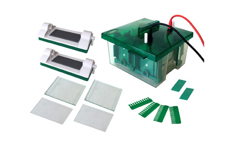 Personalización y accesorios avanzados de la celda de electroforesis vertical YR03427