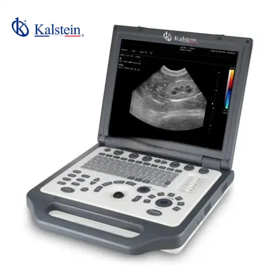 Doppler Color Veterinario: Aplicaciones Prácticas y Técnicas 2026