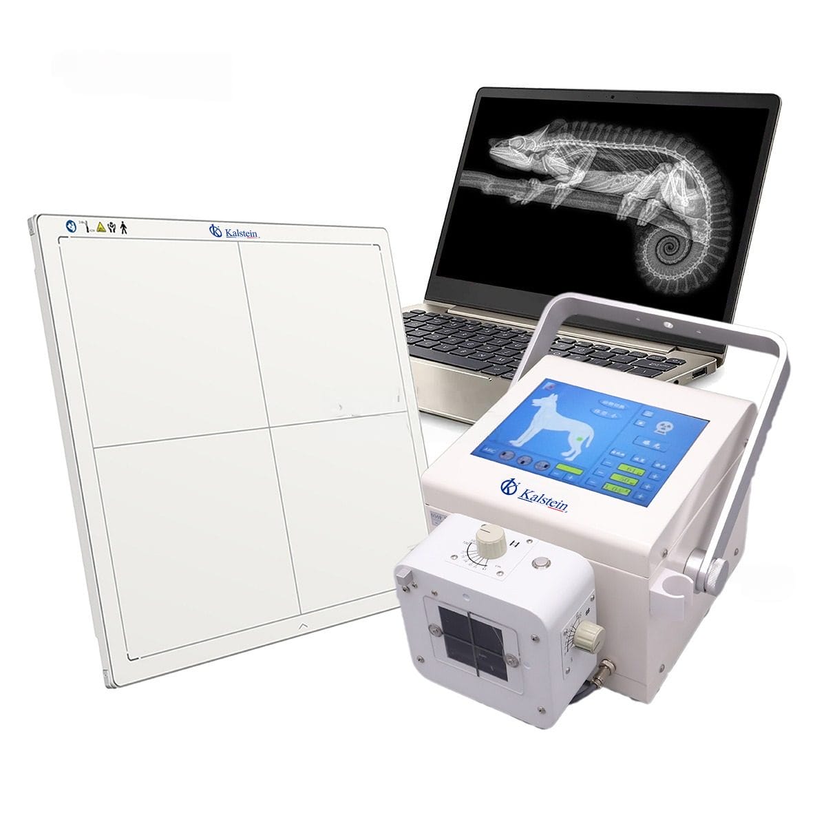 Rayos X Digital Portátil Veterinario YR06160: Innovación y Eficiencia en el Diagnóstico