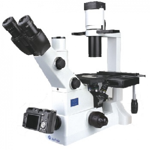 ¿Qué es un Microscopio Confocal?
