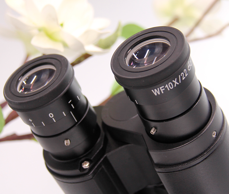 Microscopio binocular de laboratorio biológico YR05789 – YR05790 – 1