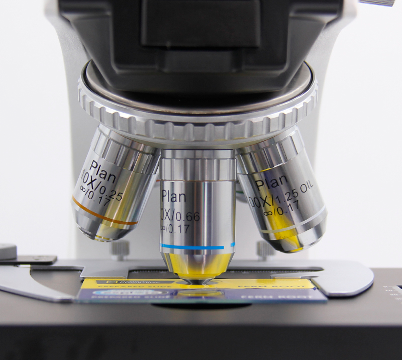 Microscopio binocular de laboratorio biológico YR05789 – YR05790 – 4