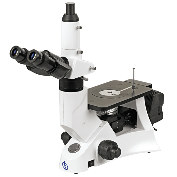 ¿Qué nos permite ver un microscopio?