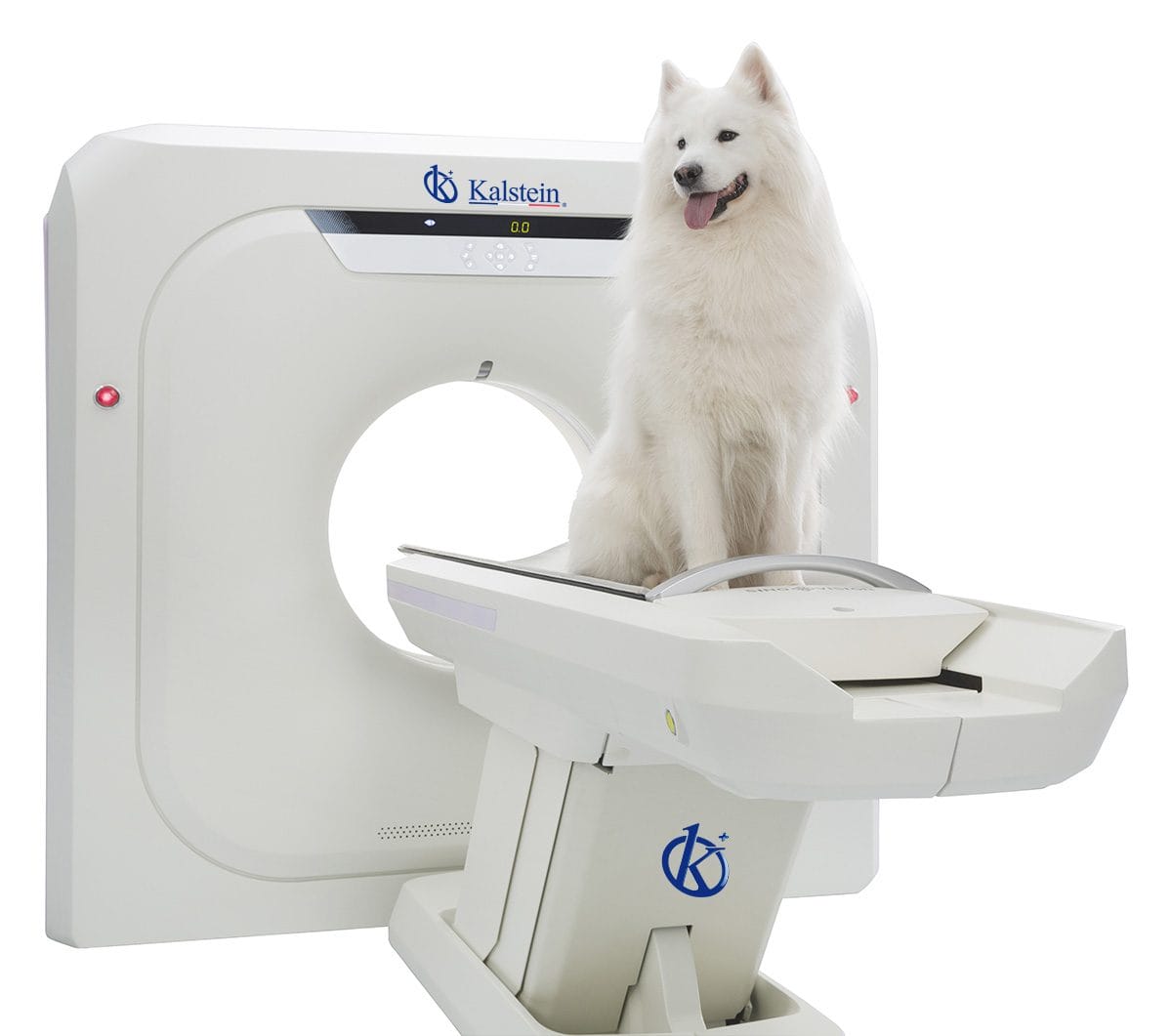 Escaner Tc Veterinario: Innovación y Precisión para el Cuido Animal