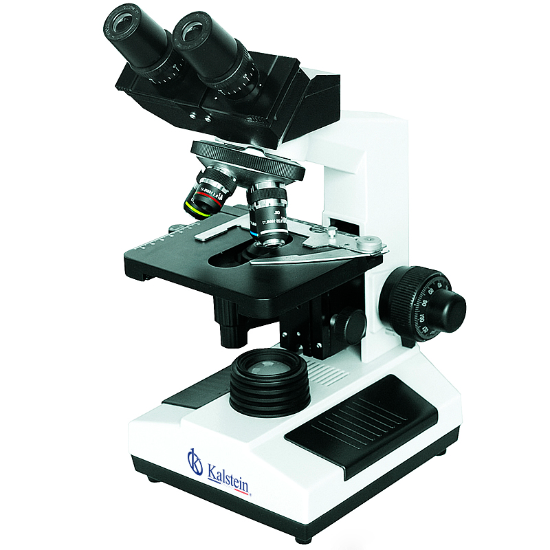 Comparativa de Microscopios: Kalstein YR0242 vs AmScope Junior Student