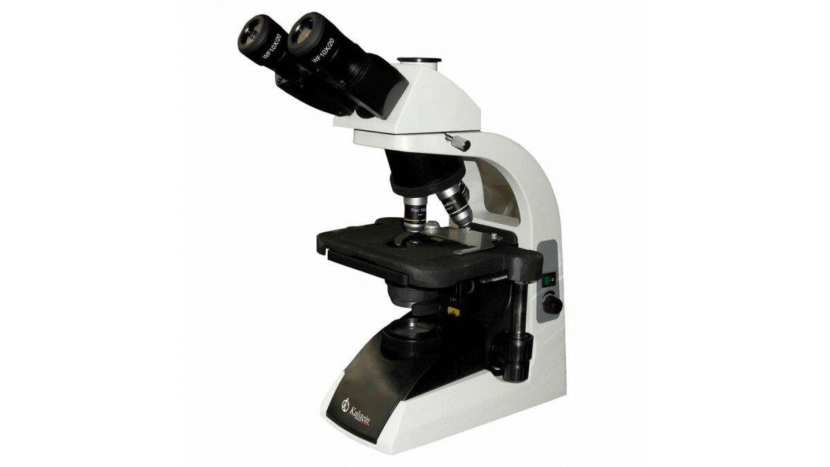 Microscopio Binocular YR0244: Uso Práctico en Laboratorios