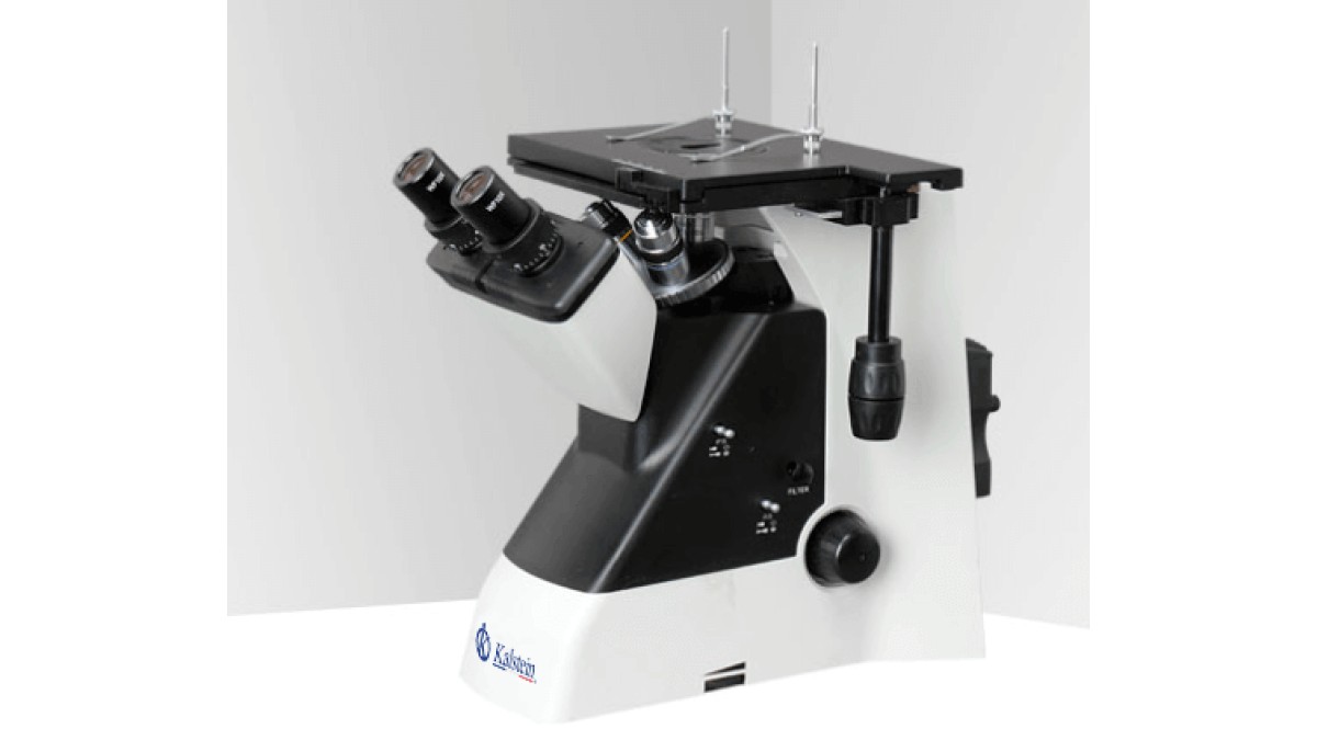 Microscopio Binocular YR0259: Innovación para Laboratorios