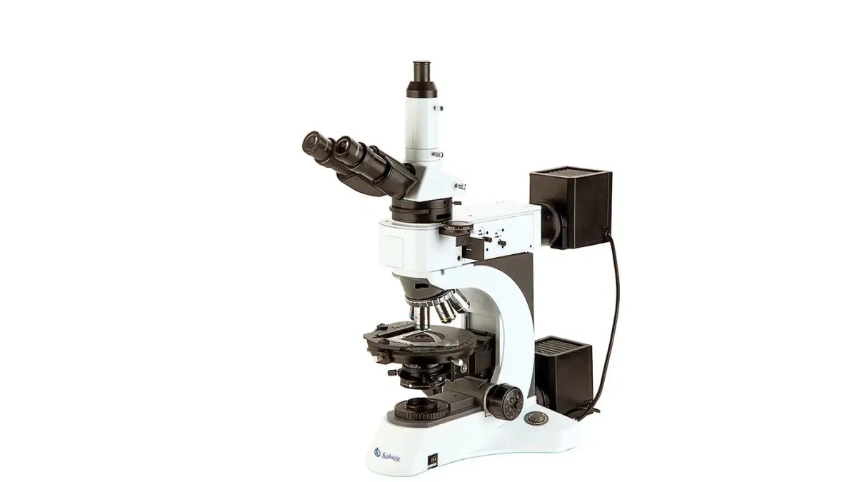 Microscopio Trinocular YR0262: Rendimiento Técnico y Seguridad