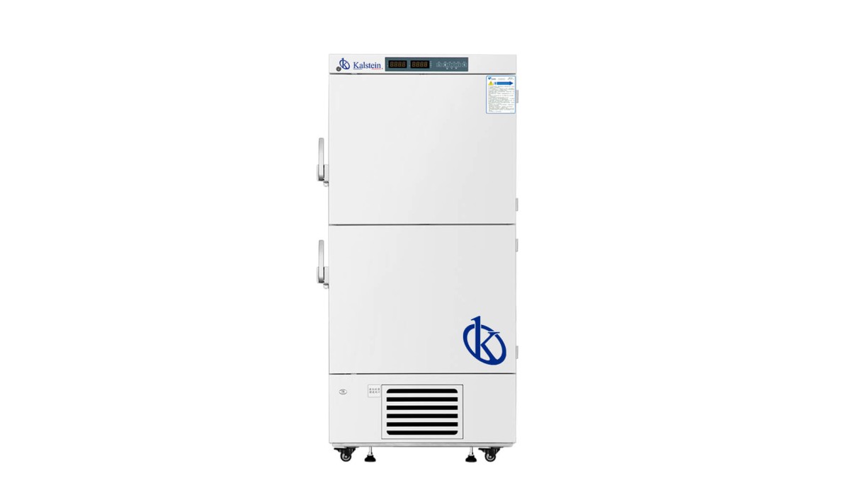 Congelador de Baja Temperatura YR05100: Retorno de Inversión Efectivo